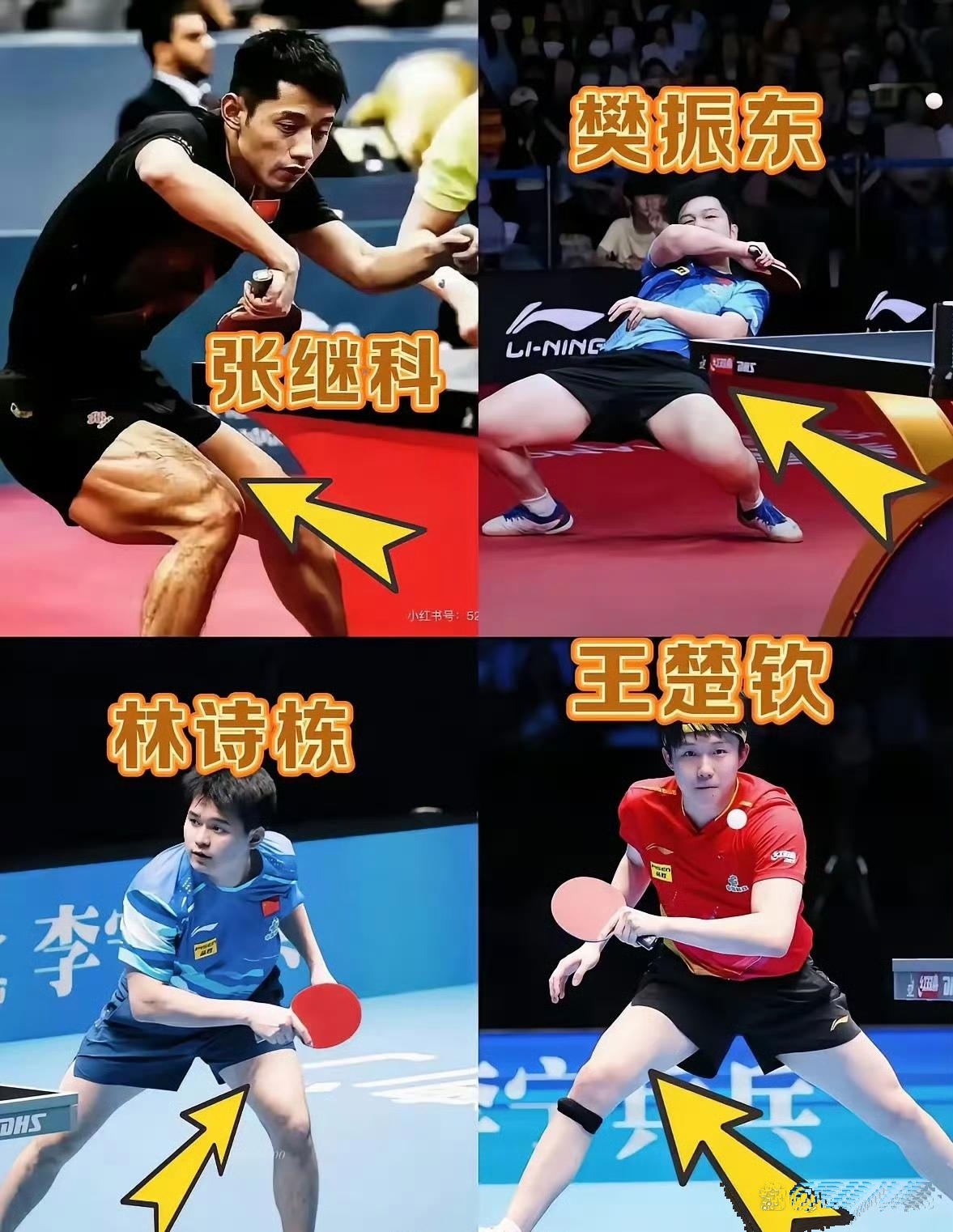 开云sport-法国乒乓球队轻取韩国乒乓球队，张继科统治全场