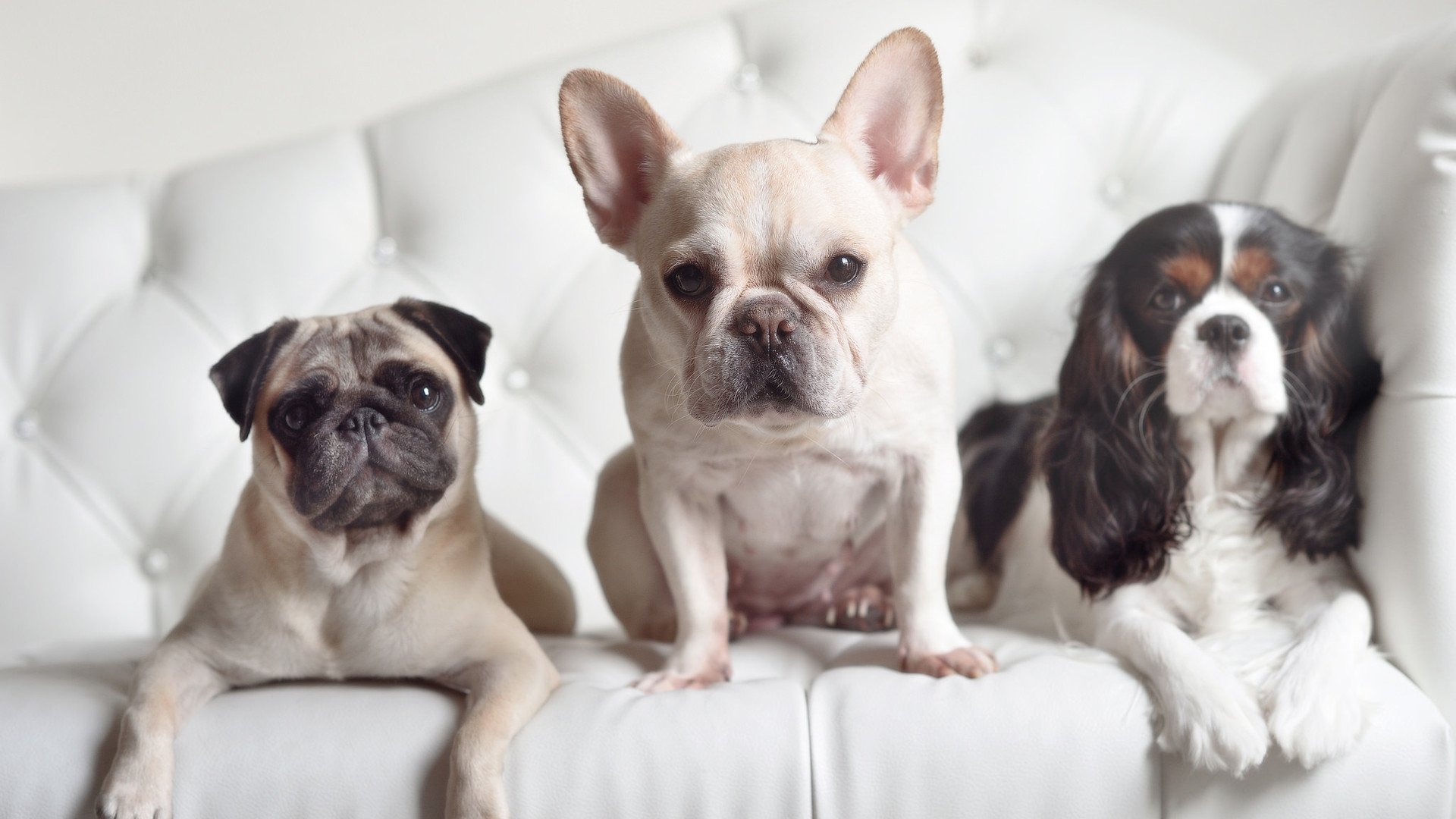 东方与亚平宁的双重奏，当稳健成为跨越山海的通用语言