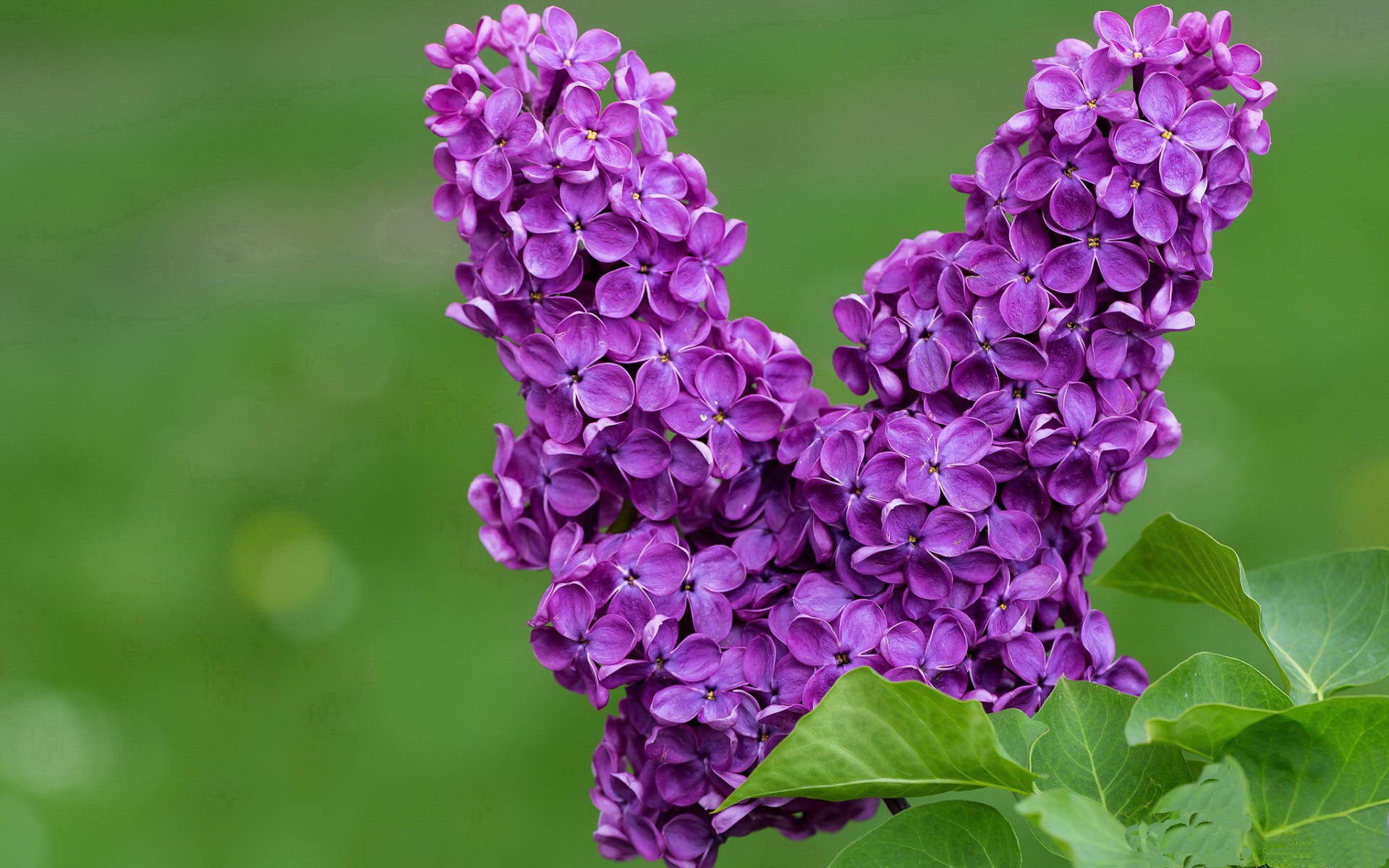 国际篮球巅峰夜，中国风暴对决北美巨浪，利拉德神之一击定乾坤