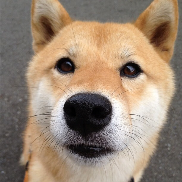 暗夜骑士的破晓时分—霍勒迪在迈阿密的救赎之战