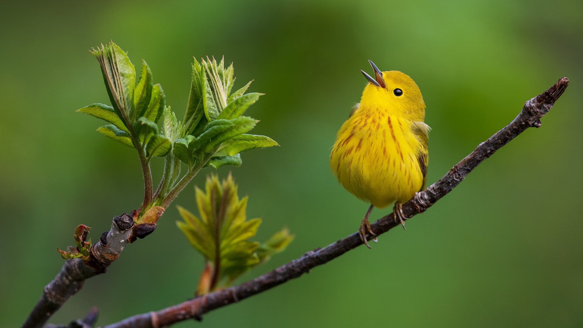 矛与盾的悖论,当莫德里奇用一己之力刺穿完美的压制体系