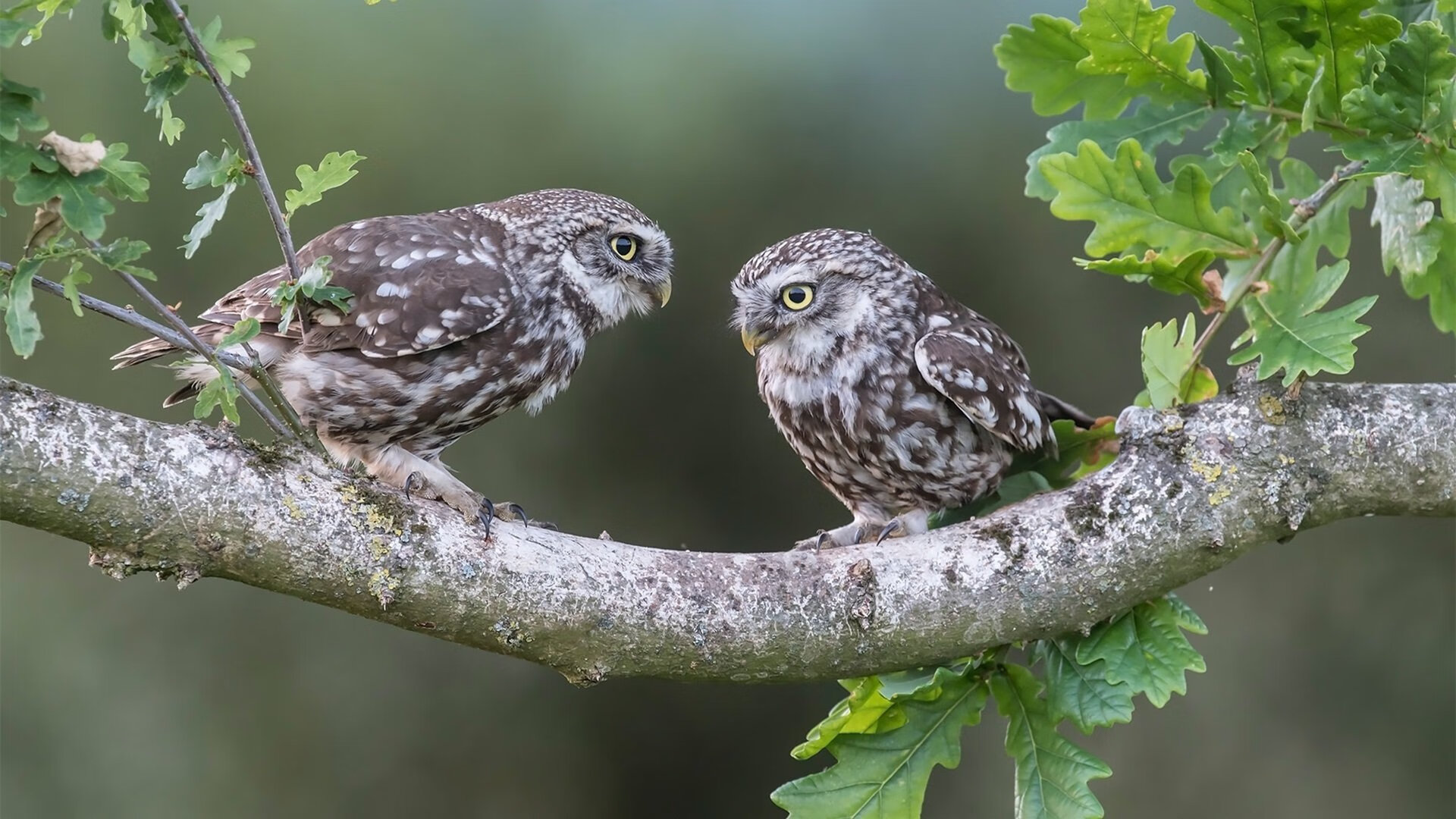 开云体育在线-以下是为您构思的唯一性文章