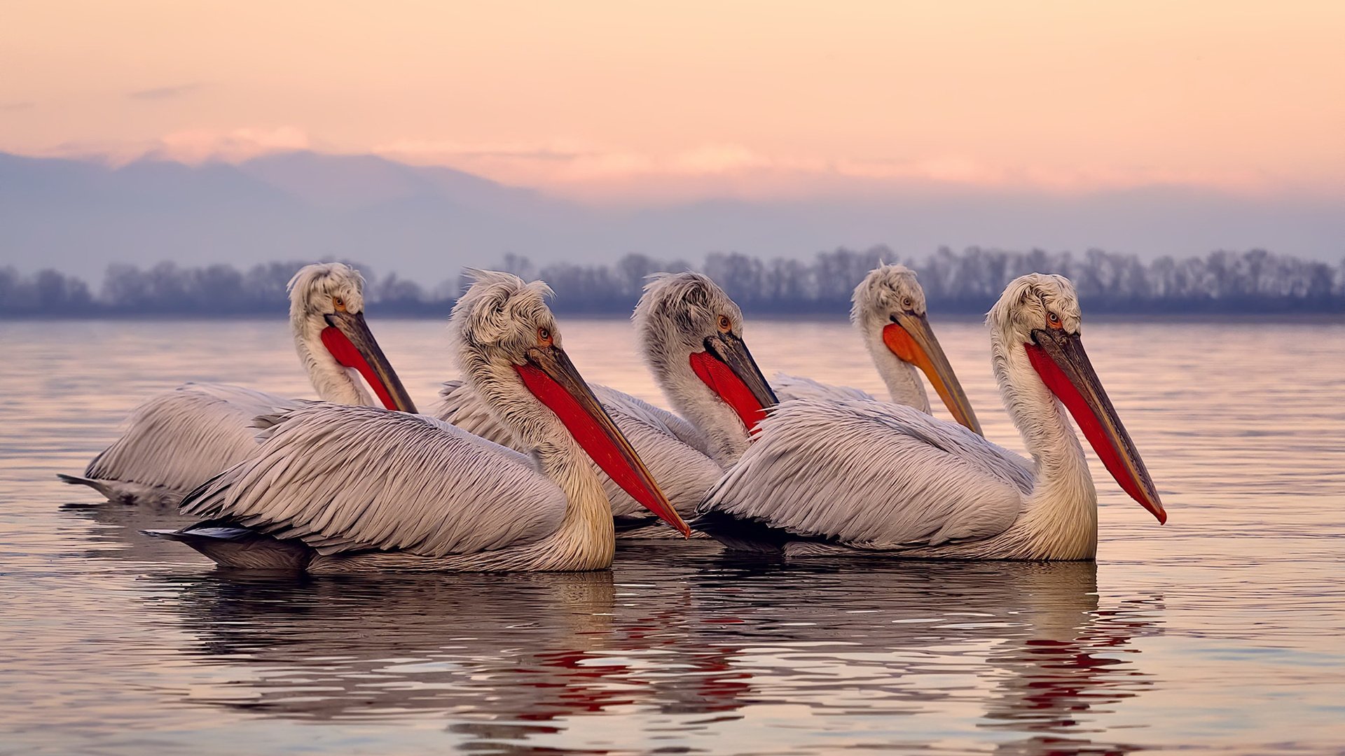 掘金击败上海队,当德罗赞的古典艺术冻结了现代时间