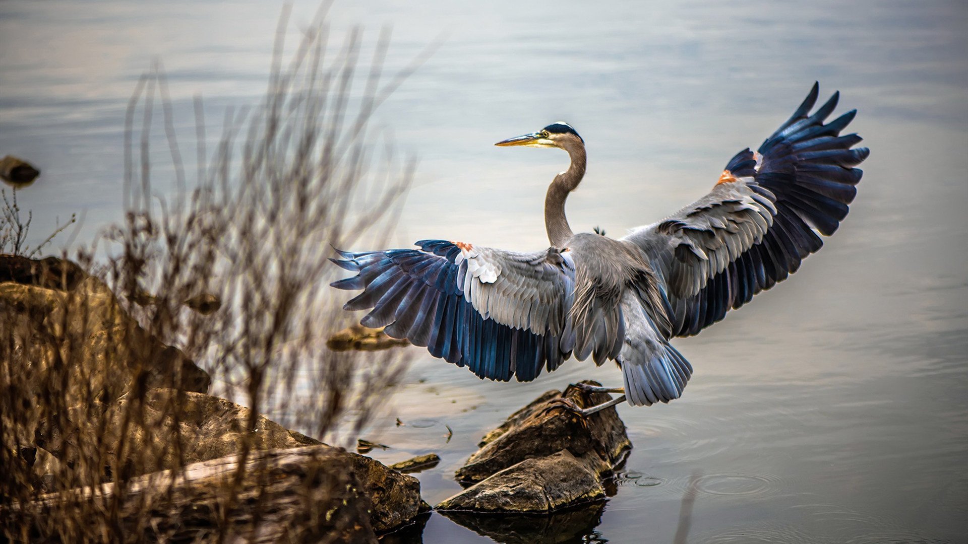 开云体育登录-绿茵东决，当阿森纳掀翻卡塔尔，足球世界的权力版图如何震颤？