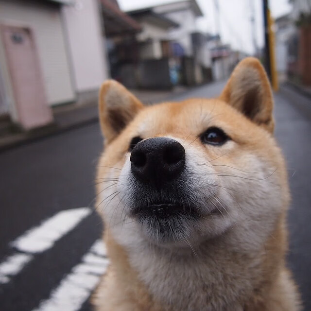 西决生死战之夜,当喧嚣浪花撞上黄喜灿这块礁石