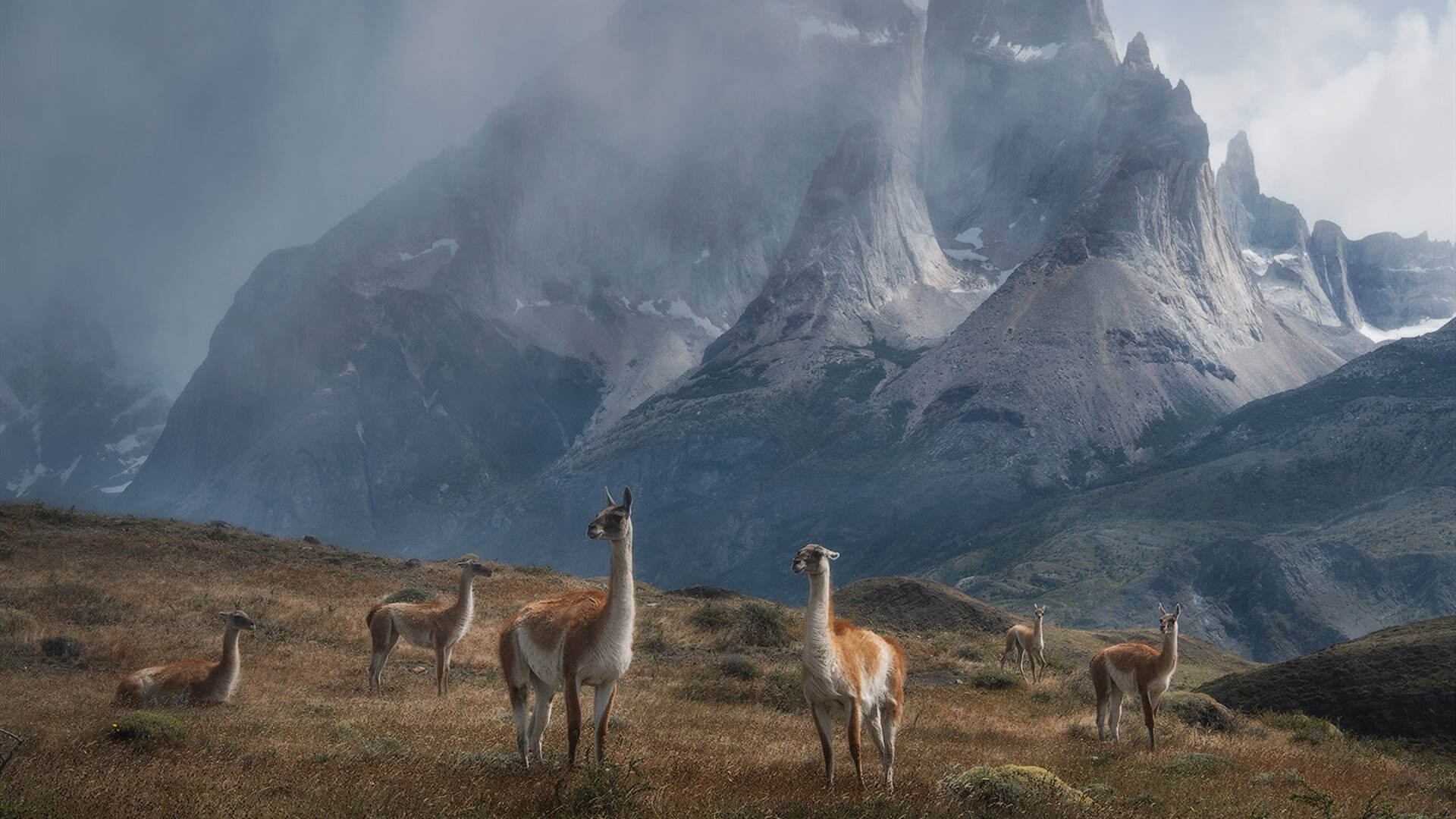 开云体育在线-火力交响曲中的独奏家，布雷默末节17分导演出巴黎对毕巴的现代压制美学