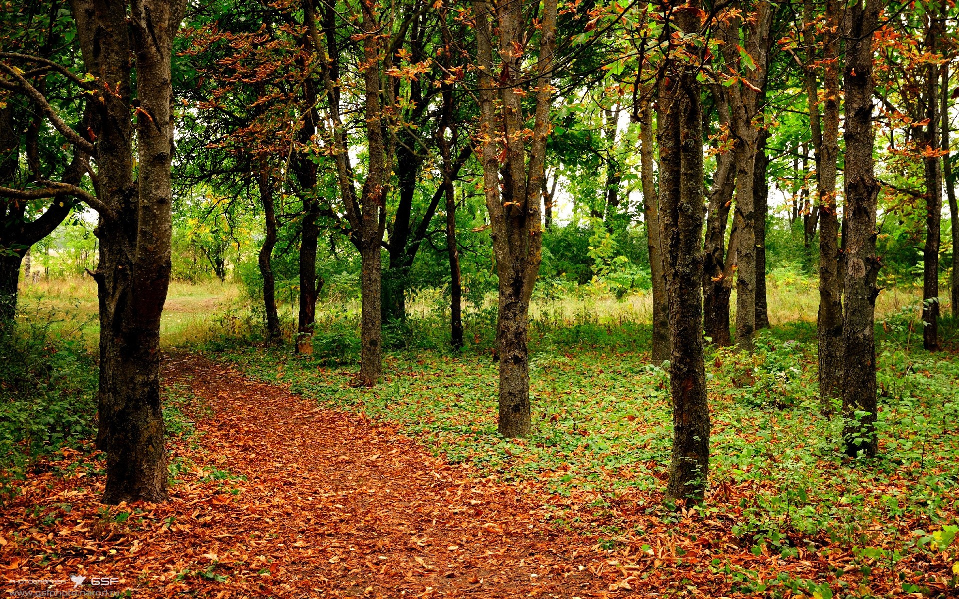 开云体育平台APP-冰之蓝，火之焰，冰岛如何用集体大脑点燃法比尼奥，令哥伦比亚俯首