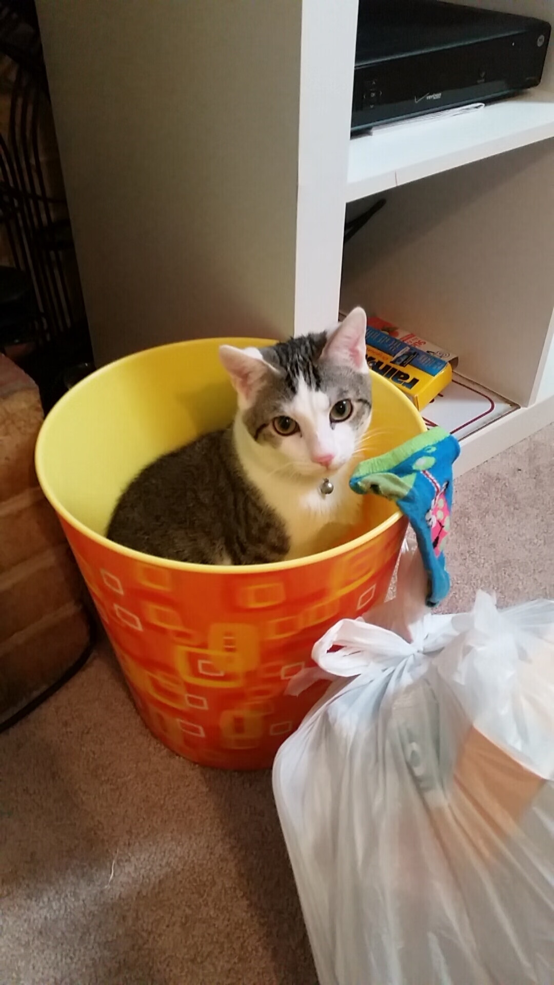 欧冠淘汰赛焦点战,利物浦客场擒下摩纳哥,带走晋级希望