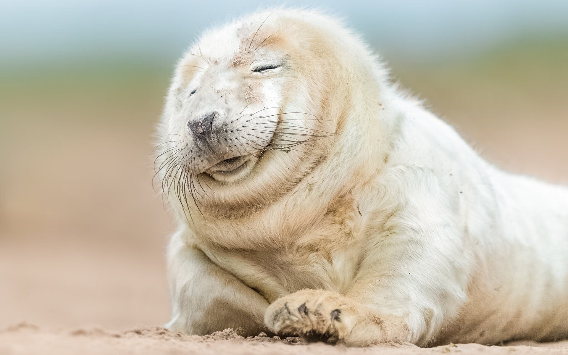 开云体育app-寂静舞台上的另类主角，当尼斯遇见曼联，福登在别处照亮大场面定律