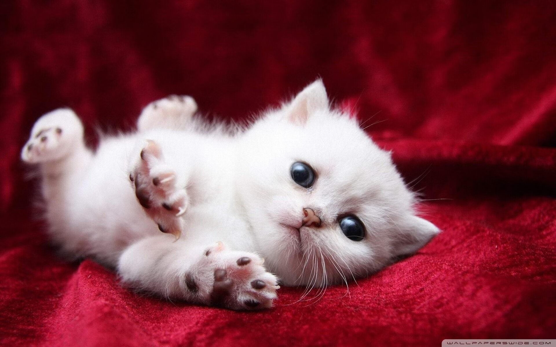 绿茵场上的海湾战争，当足球成为另一种形态的伊拉克强压曼联